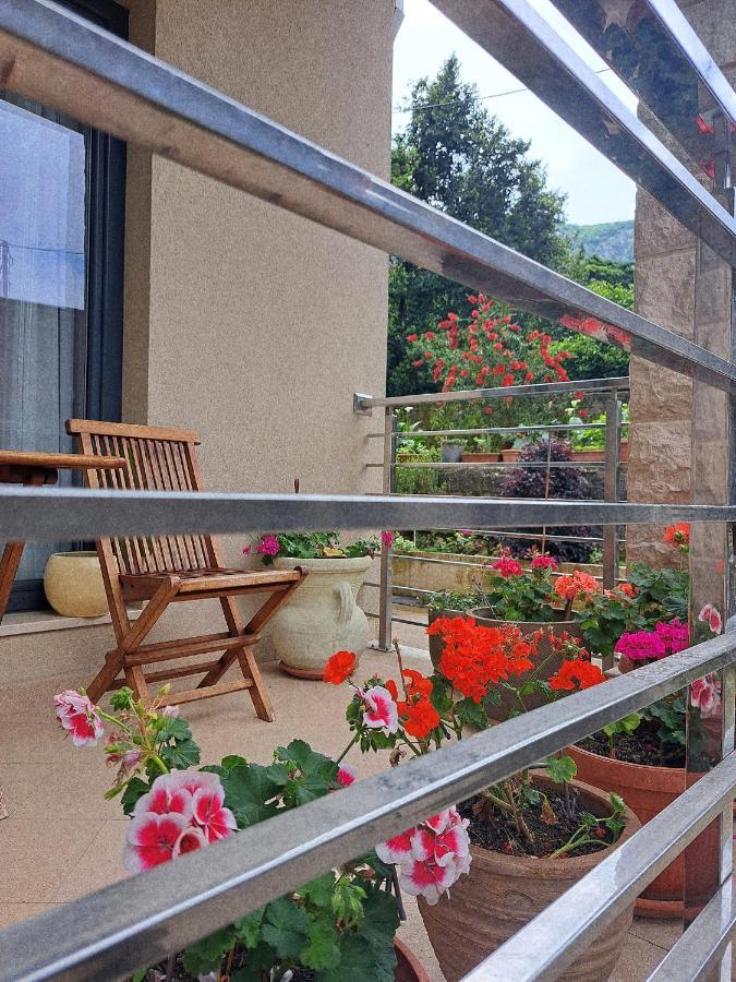 Apartment Benvenuti Κότορ Εξωτερικό φωτογραφία