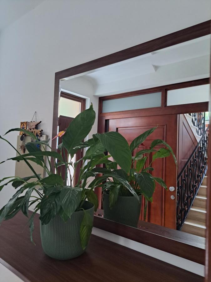 Apartment Benvenuti Κότορ Εξωτερικό φωτογραφία