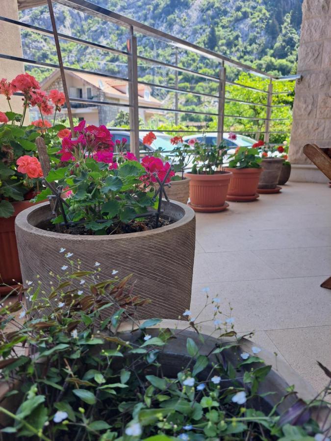 Apartment Benvenuti Κότορ Εξωτερικό φωτογραφία